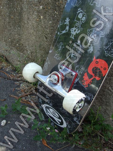 Image of Extreme SkateBoard Frenzy (IT4614)